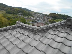 DSCN1018