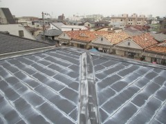 IMG_1270